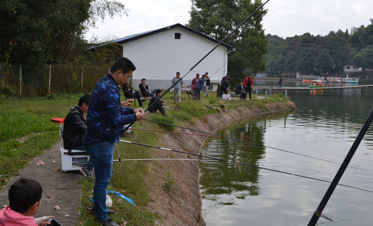 恒峰g22(国际)官网入口-天天有惊喜